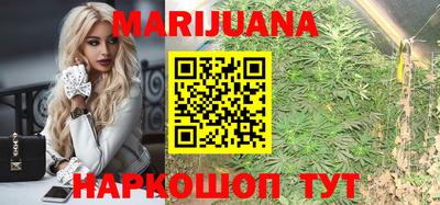 гидра Тверь