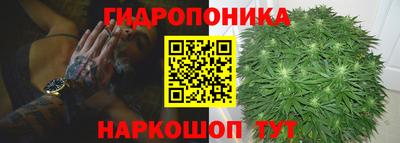 гидра Тверь