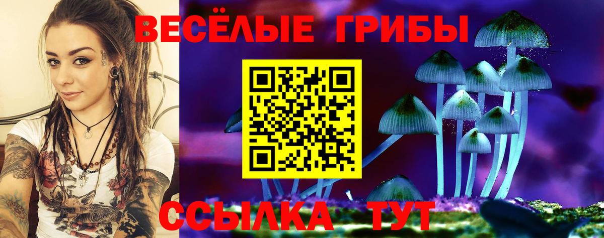 Псилоцибиновые грибы мухоморы  где купить   Волжский  Вход с VPN  Галлюциногенные грибы прущие грибы 