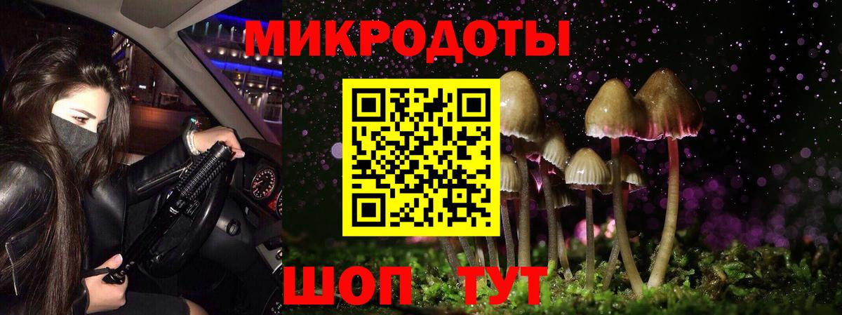 Галлюциногенные грибы Psilocybe Волжский